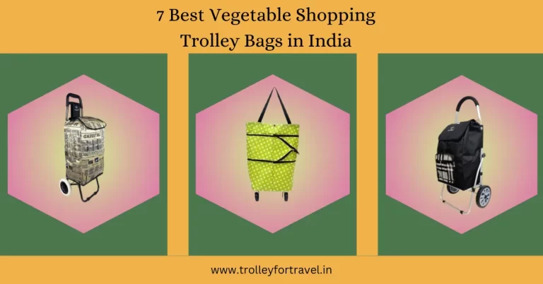 Best Vegetable Shopping Trolley Bags in India